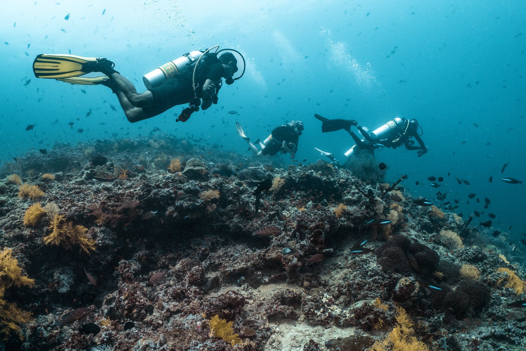 Diving