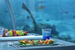5.8 UNDERSEA RESTAURANT