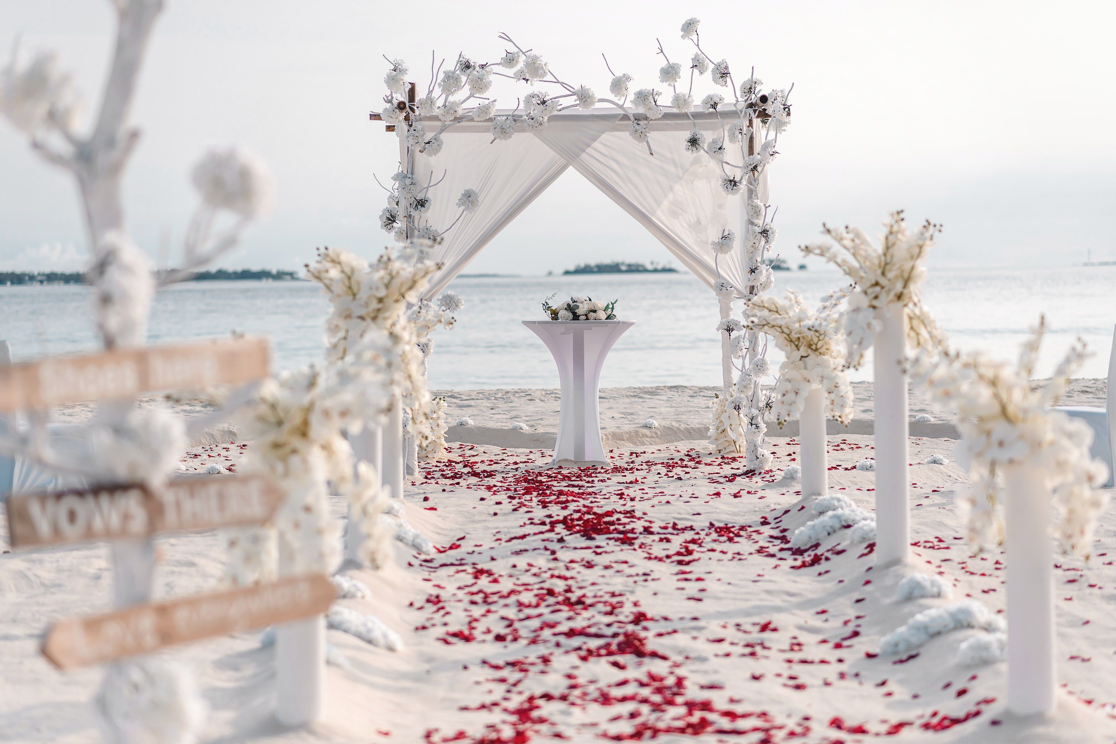 Wedding Celebrations
