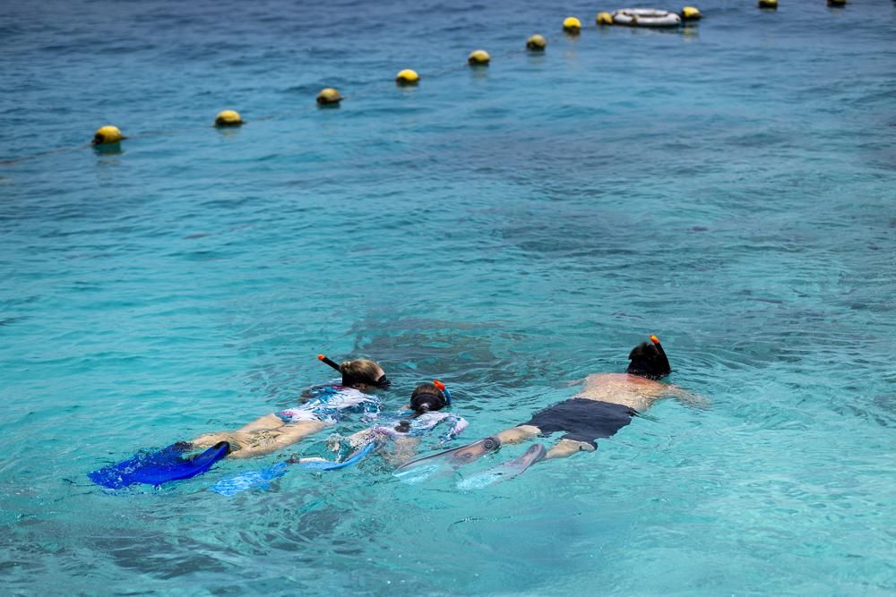 Snorkelling