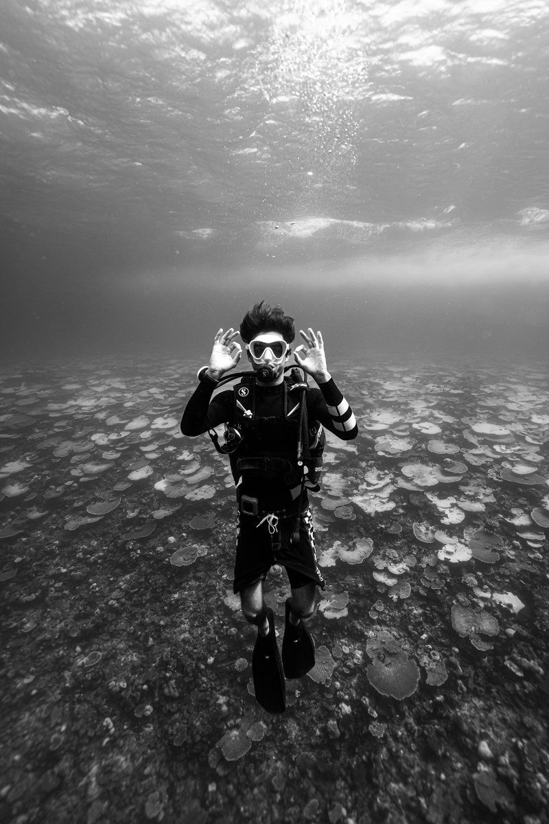 Diving