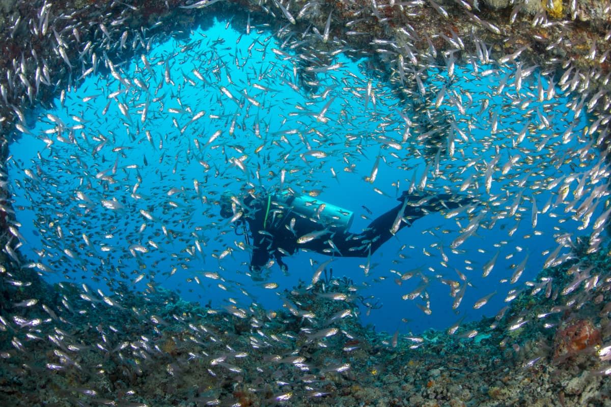 Diving