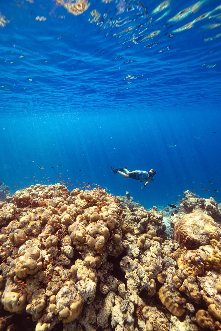 Kuredu Maldives
