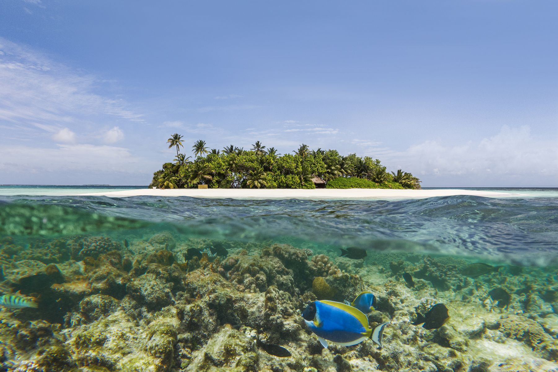 Snorkeling