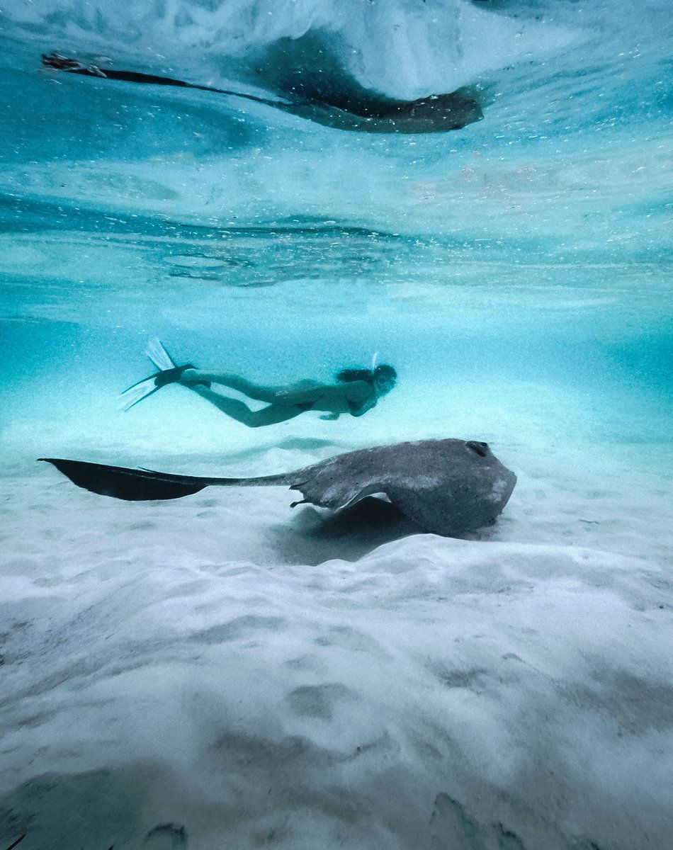 Diving and Water Sports
