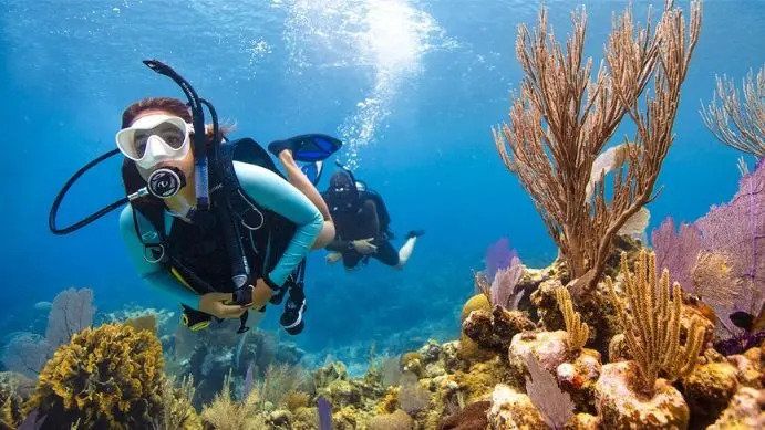 A Diver's Paradise