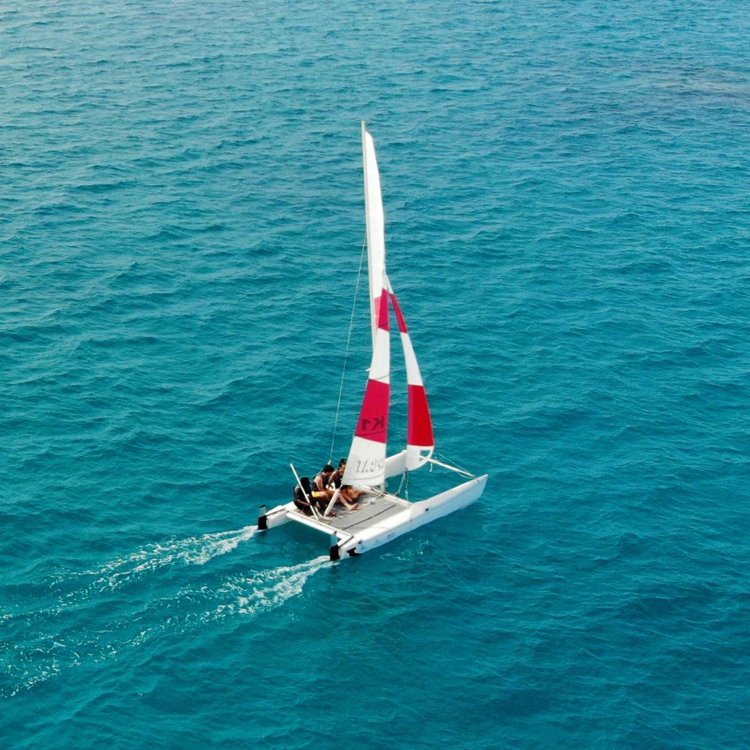 Sunset Dolphin Safaris