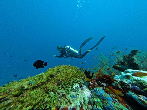 Kudafushi Maldives
