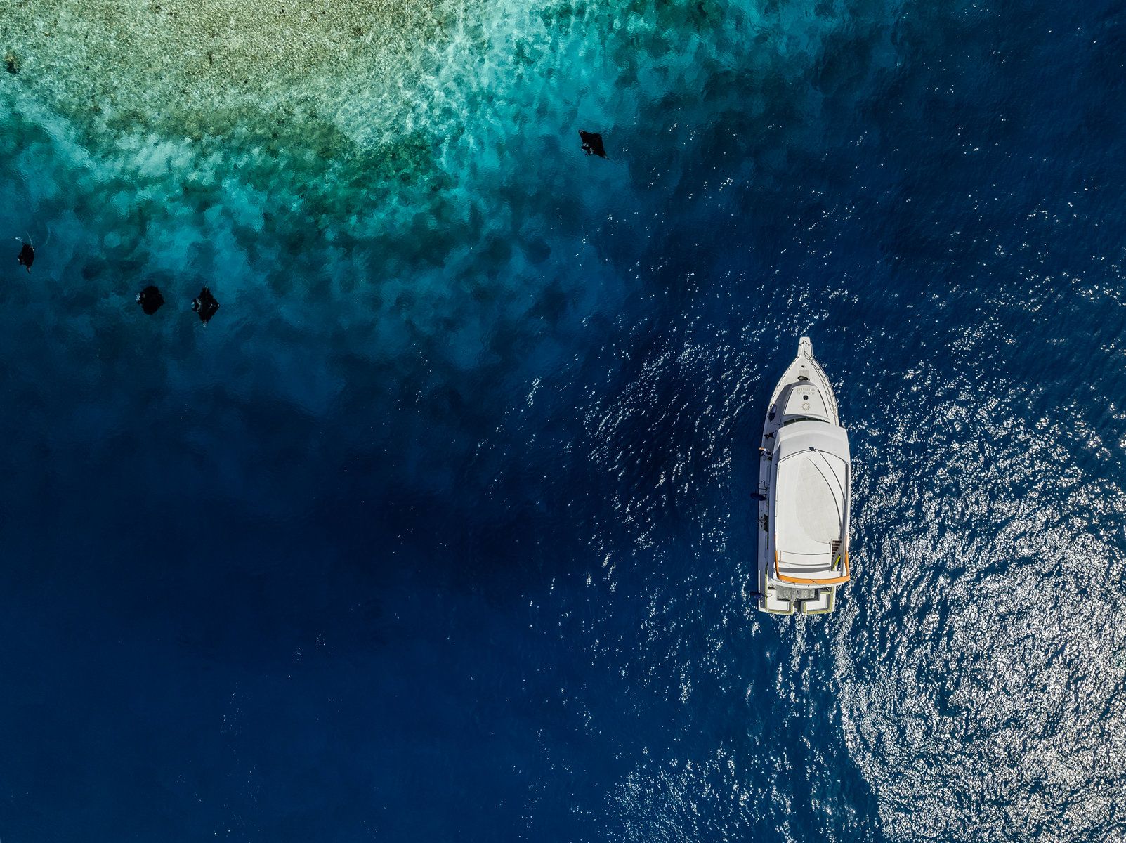 Snorkeling excursion