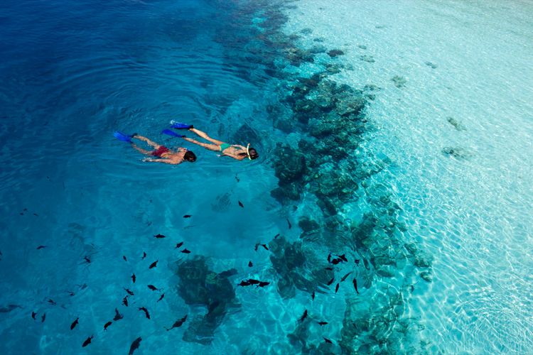 Vilamendhoo Island Resort and Spa