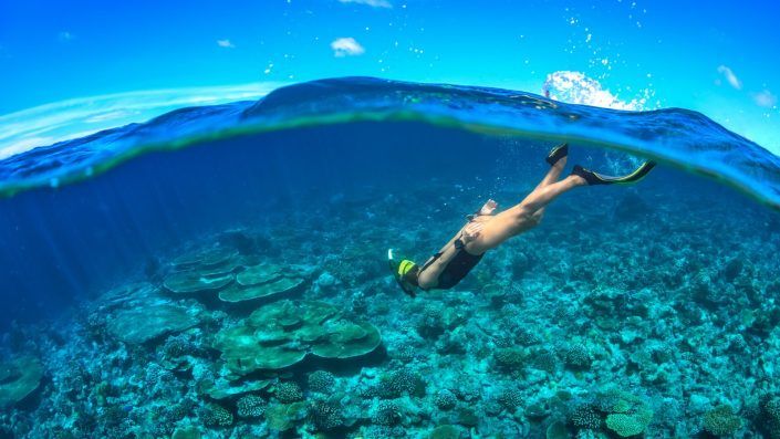 Snorkelling