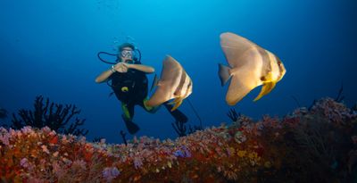 Diving 