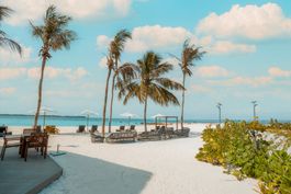 Beach Bar
