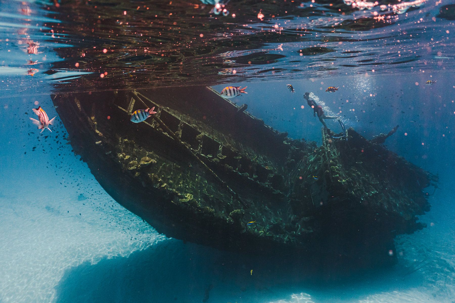 Snorkeling excursion