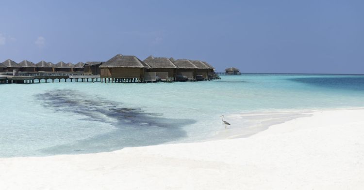 Huvafen Fushi Maldives