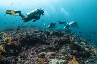 Diving