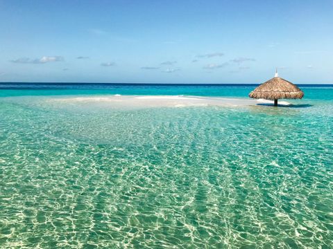 Constance Moofushi