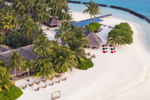 Niva Kuramathi Maldives