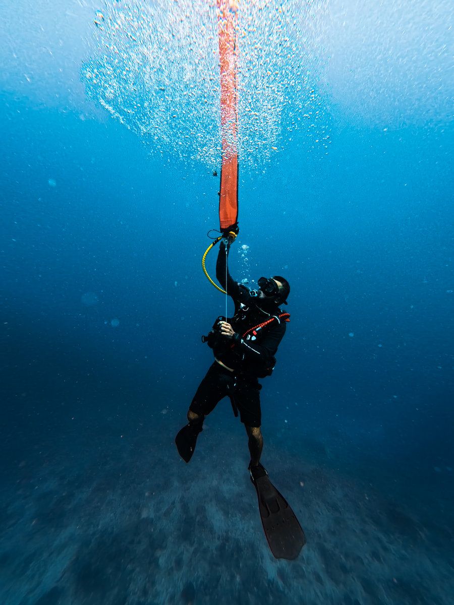 Diving