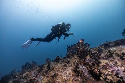 Diving