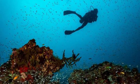 Amilla Maldives