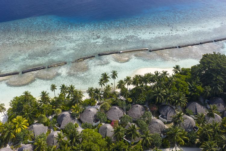 Niva Kuramathi Maldives
