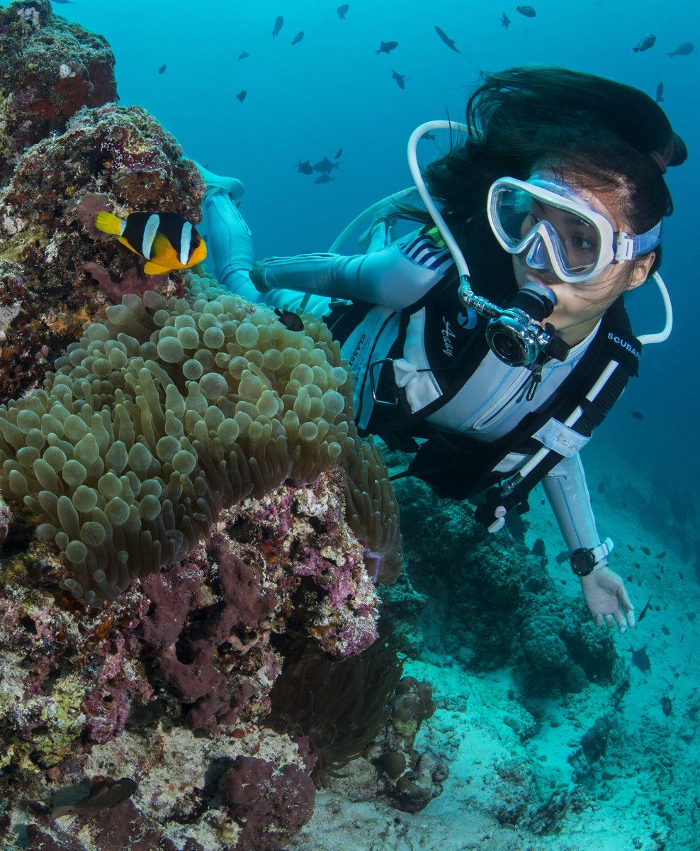 Diving