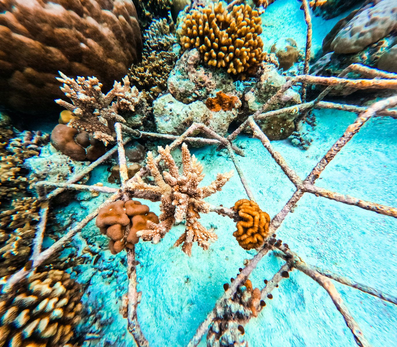 Hurawalhi Marine Biology Center
