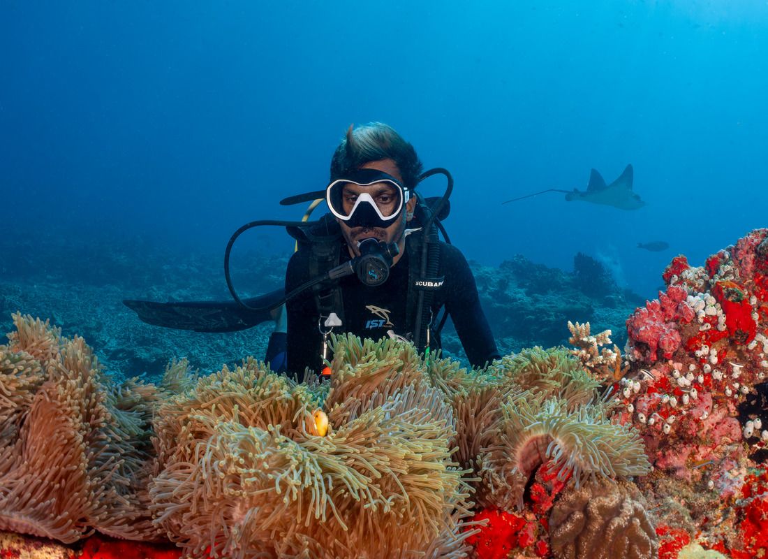 Diving