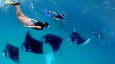Snorkel