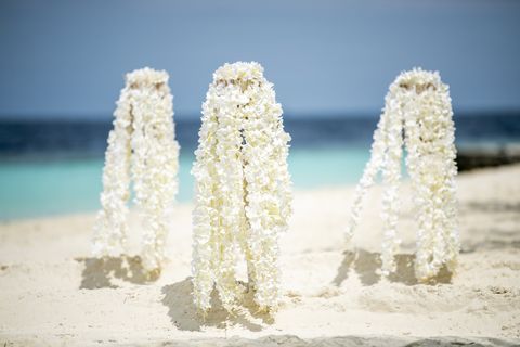 Lily Beach Resort and Spa
