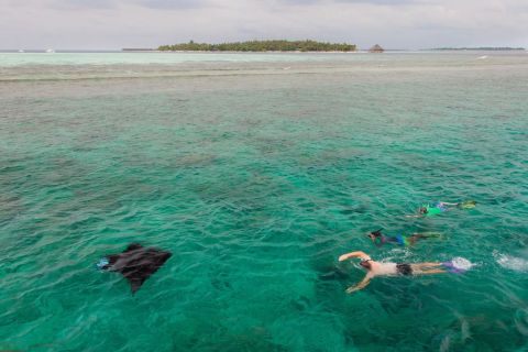 Vilamendhoo Island Resort and Spa