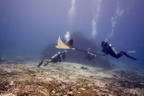 Kudafushi Maldives