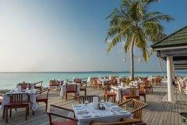 The Wahoo Grill