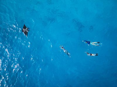 Snorkelling