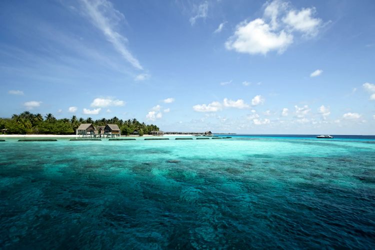 Constance Moofushi