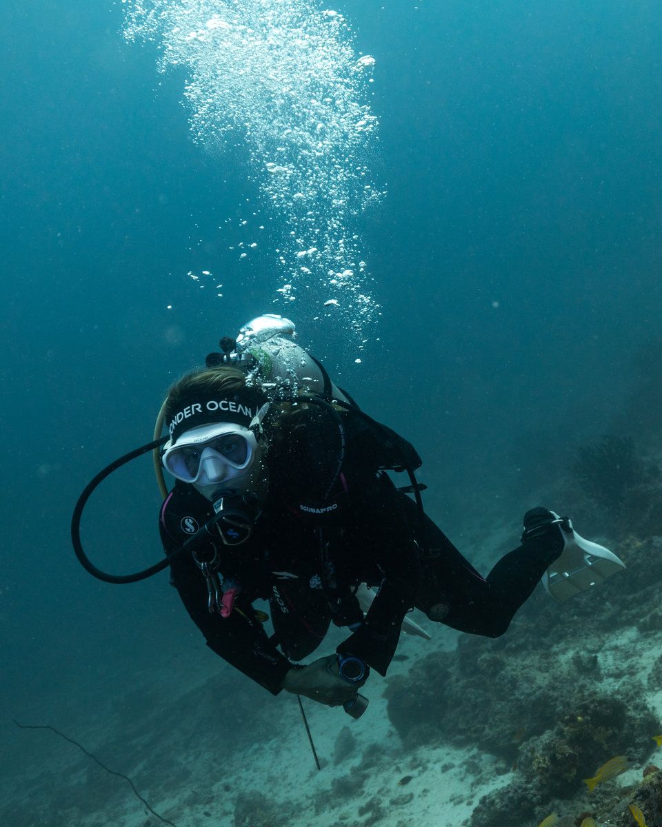 Diving