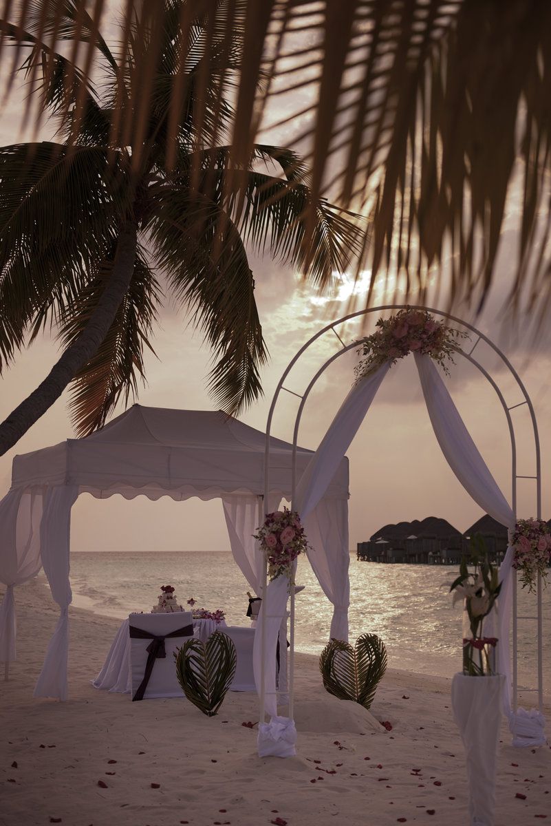 Wedding by the ocean