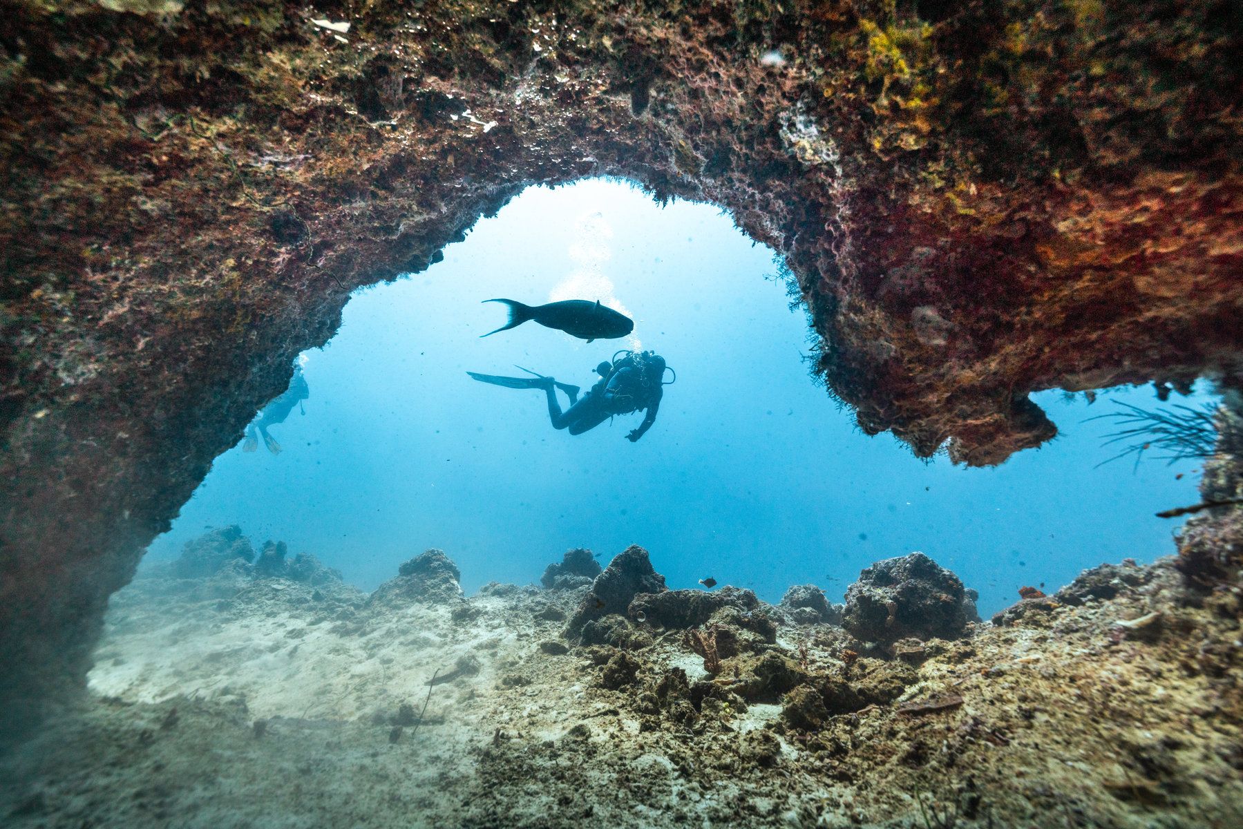 Diving