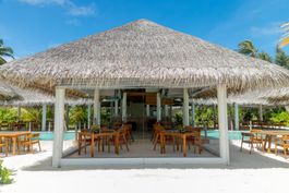 Grouper Grill