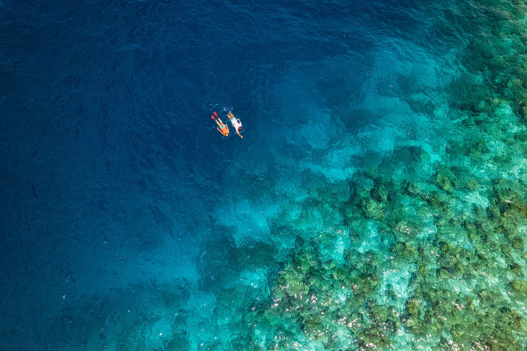Snorkel