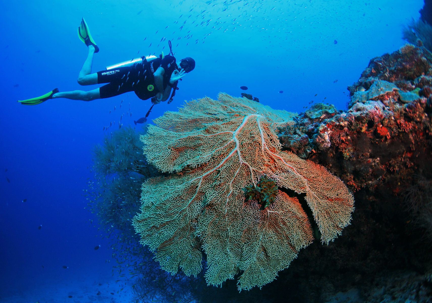 Scuba Diving