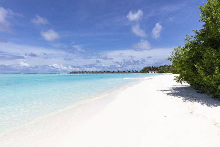 Niyama Private Islands Maldives