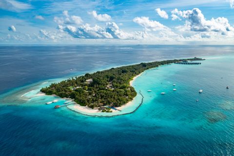 Niva Kuramathi Maldives