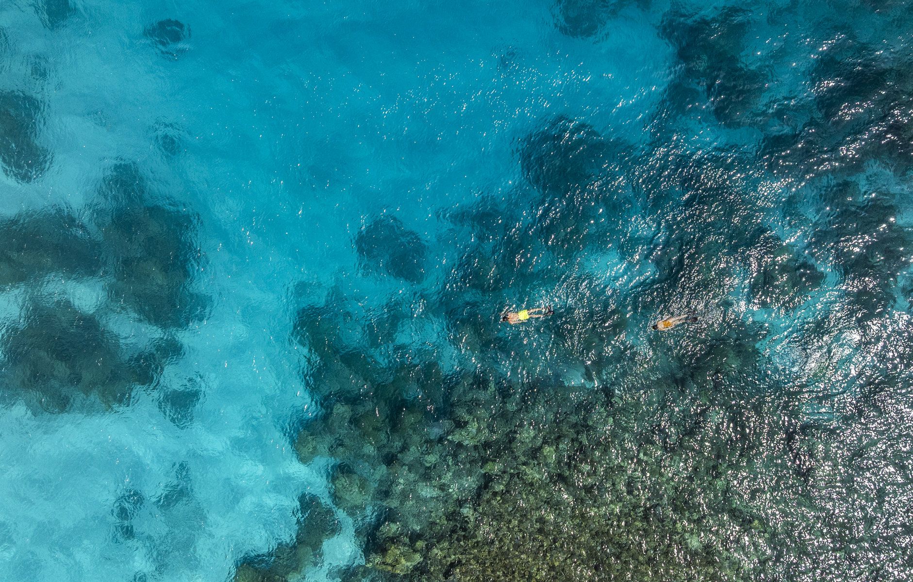 House Reef Snorkeling