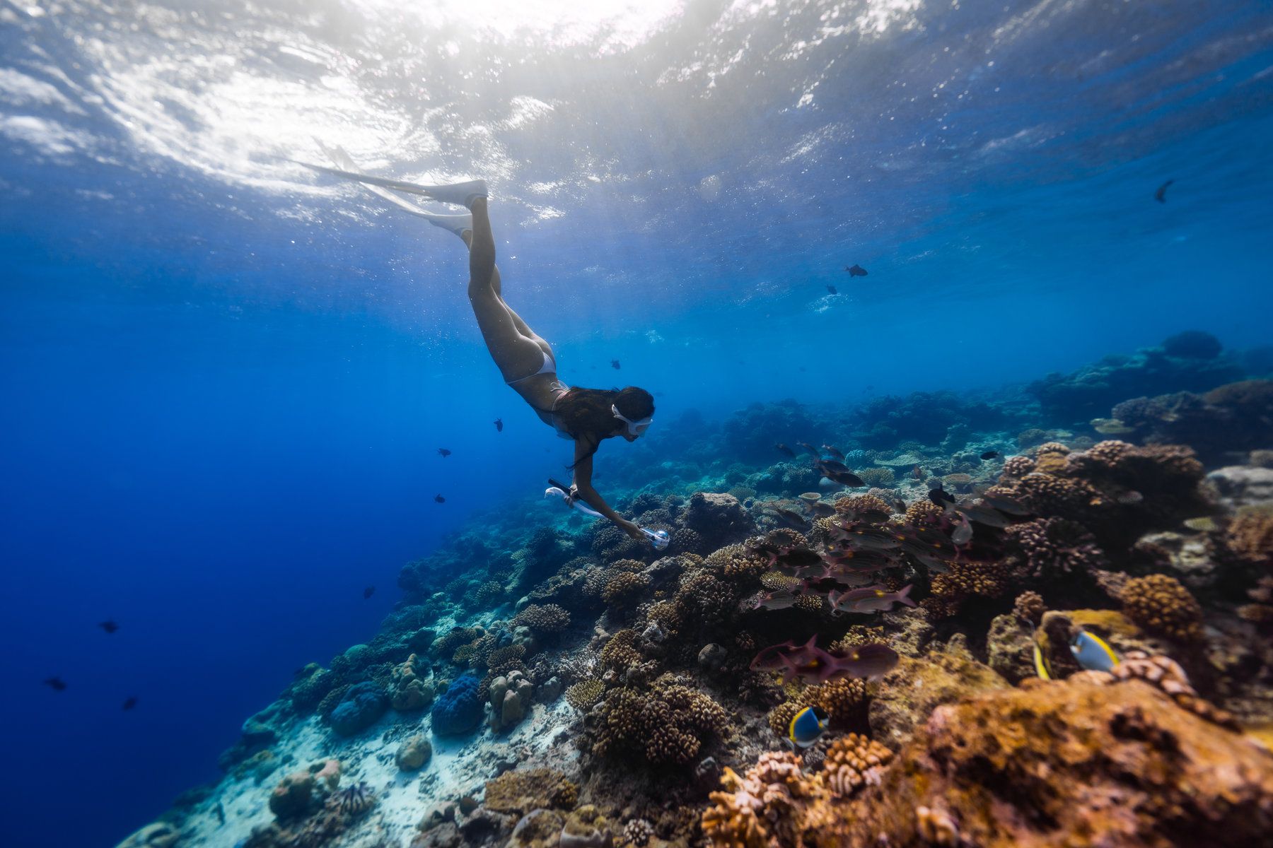 Diving