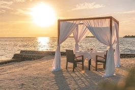 Dining Experiences Galore