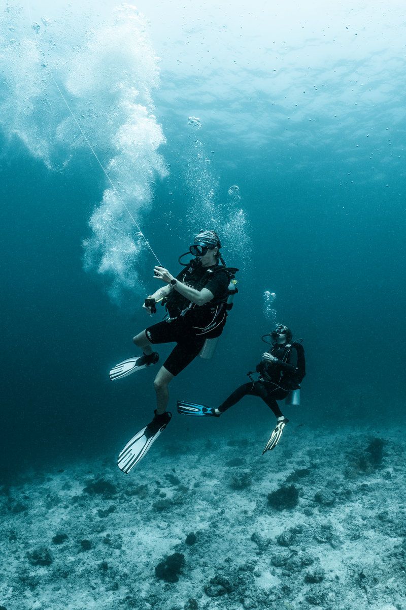 Diving