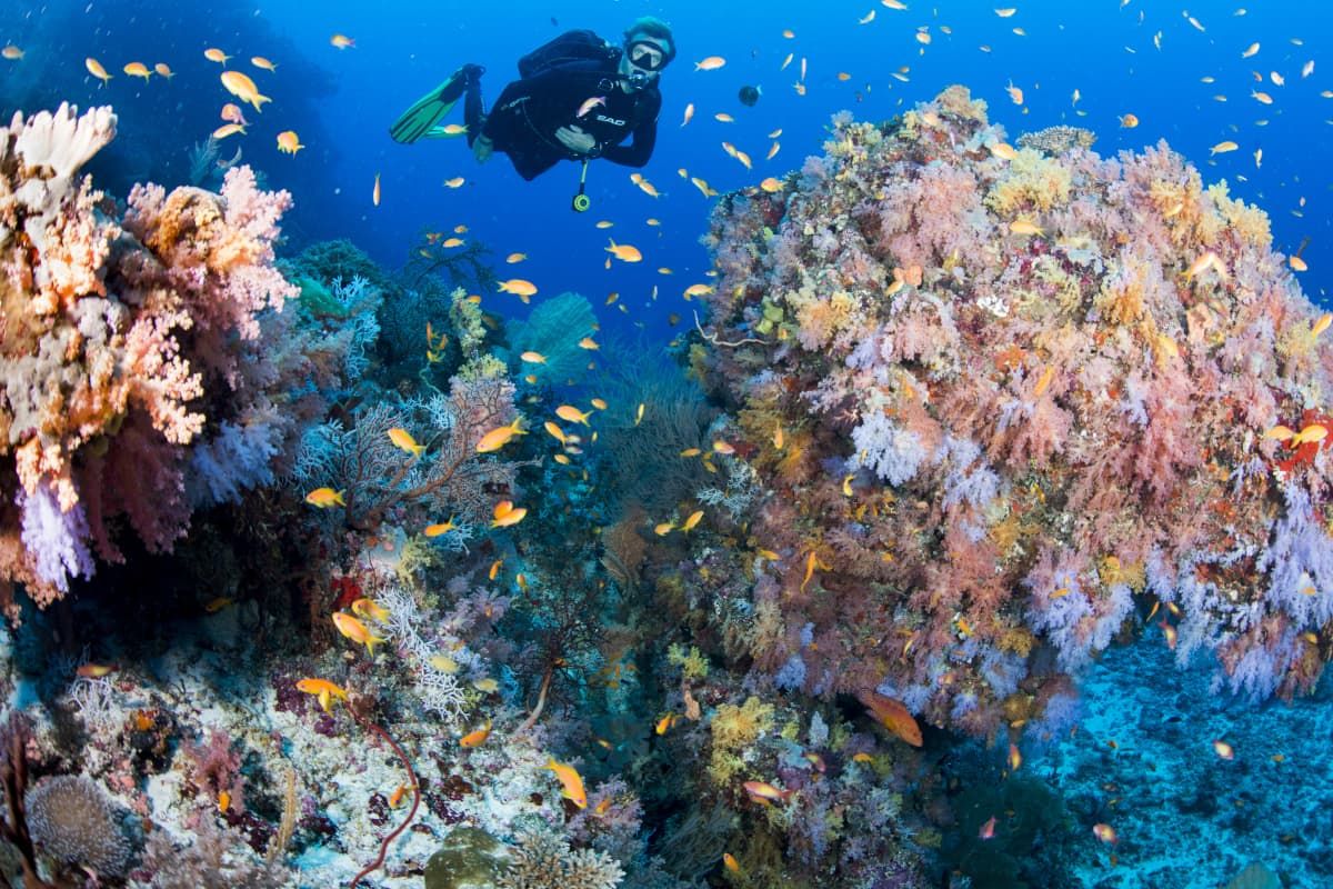 Diving