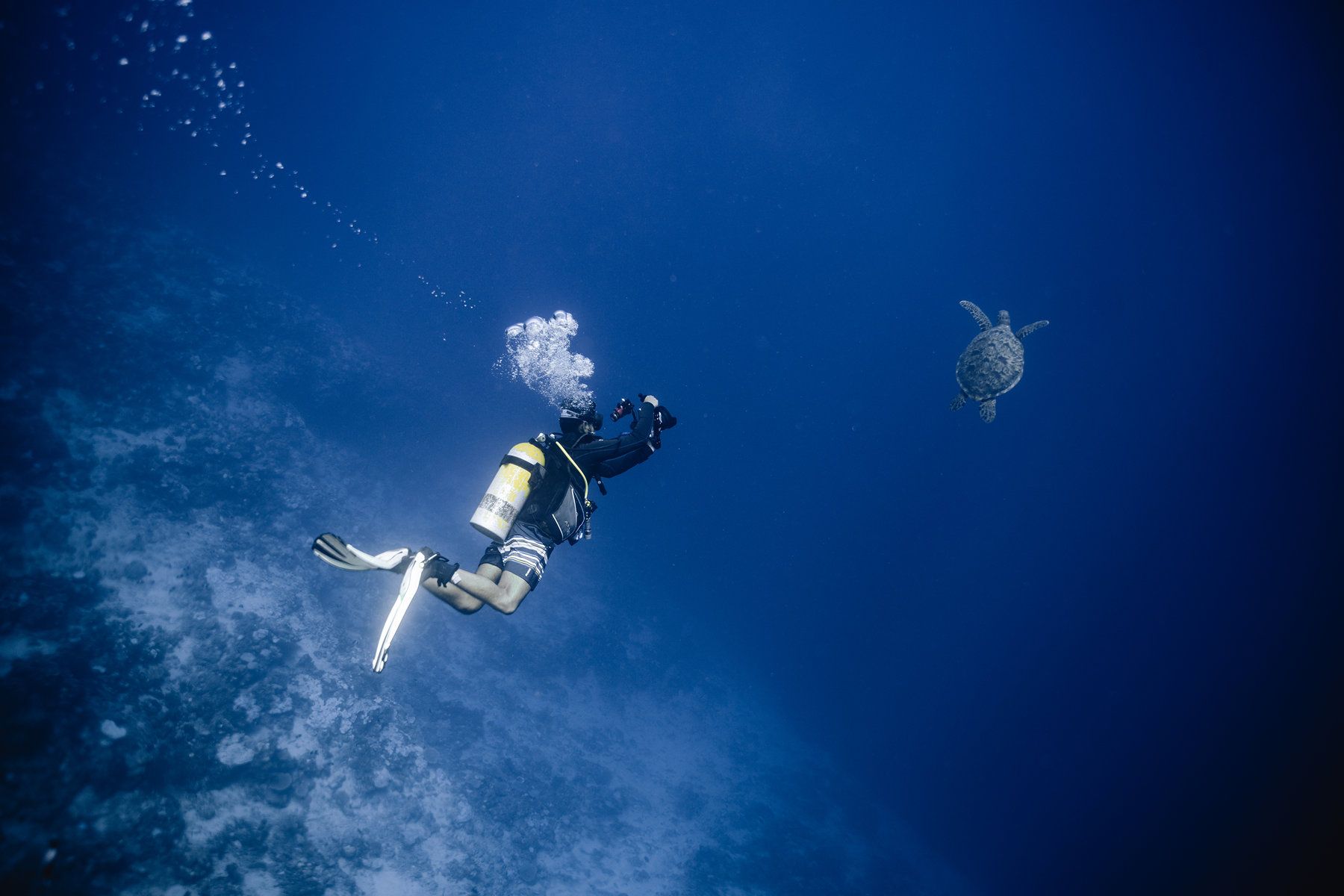 Scuba Diving
